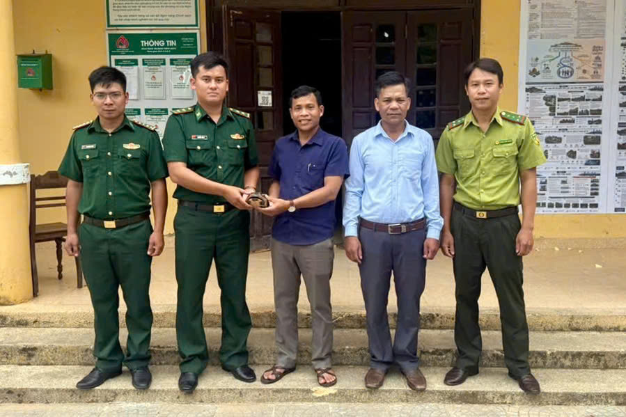Phát hiện động vật quý hiếm, người dân ở Huế giao nộp bộ đội biên phòng- Ảnh 1.