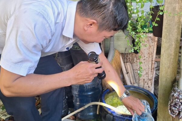 Số ca sốt xuất huyết ở Cần Thơ ghi nhận vẫn ở mức cao, ngành y tế khuyến cáo người dân chủ động diệt lăng quăng