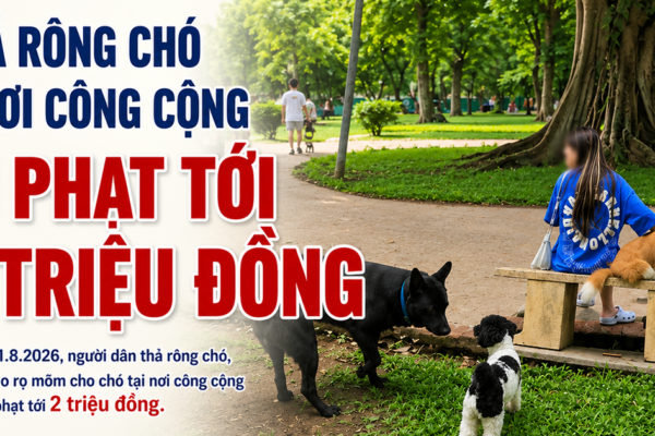 Thả rông chó ở nơi công cộng bị phạt tới 2 triệu đồng