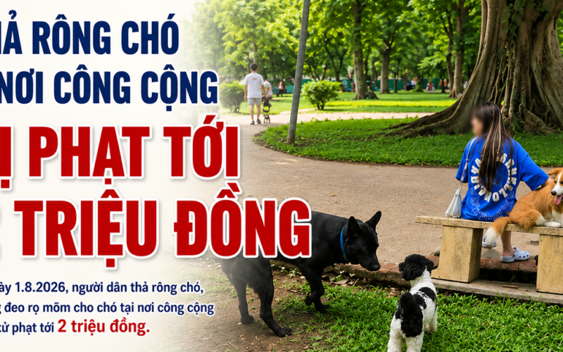 Thả rông chó ở nơi công cộng bị phạt tới 2 triệu đồng